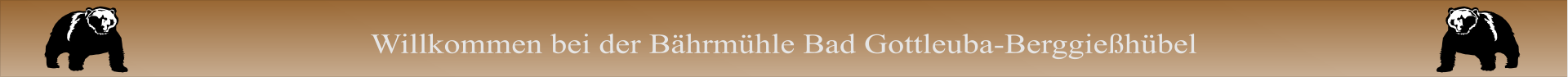 Willkommen bei der Bhrmhle Bad Gottleuba-Berggiehbel